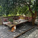 Holiday home Havikanta *