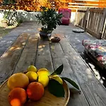Havikanta Holiday home