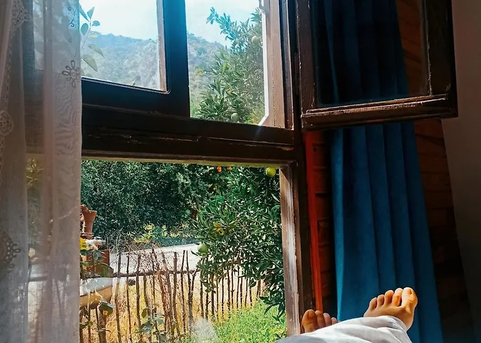 Havikanta *