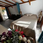 Tatil Evi Havikanta