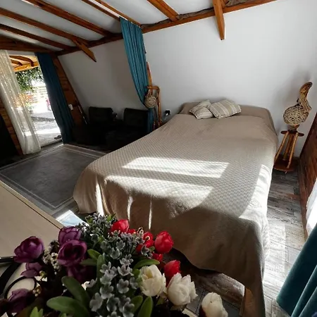 Prázdninový dům Havikanta