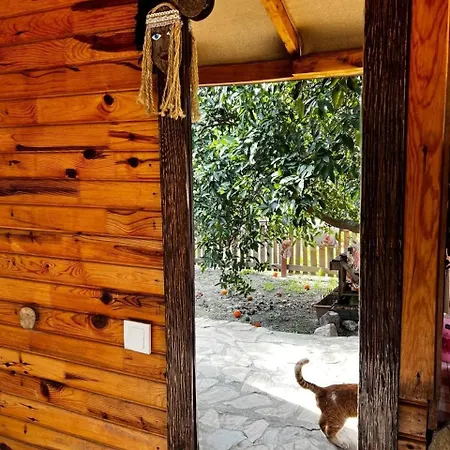 Havikanta * أورتاجا