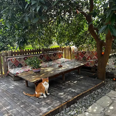 بيت للعطل Havikanta *