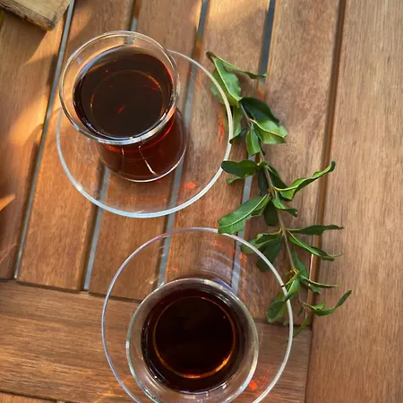 Havikanta بيت للعطل *