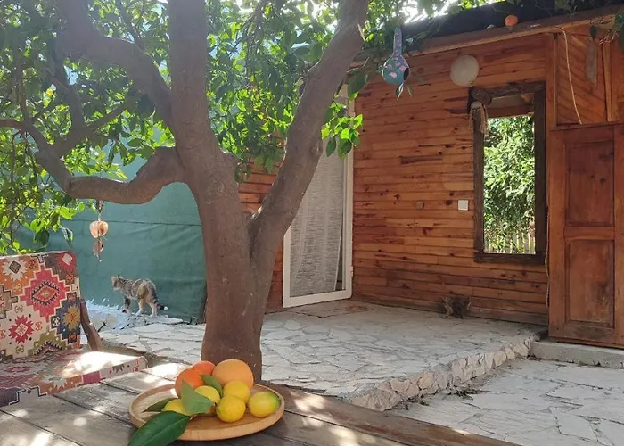 Havikanta Hébergement de vacances