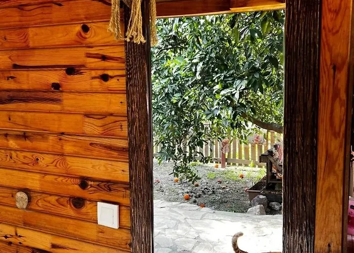 Havikanta * أورتاجا