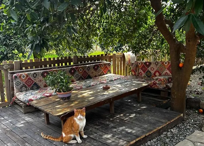 Hébergement de vacances Havikanta *