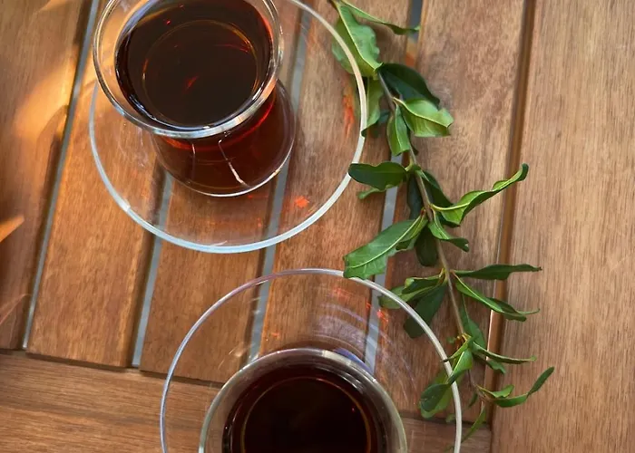 Havikanta Hébergement de vacances *